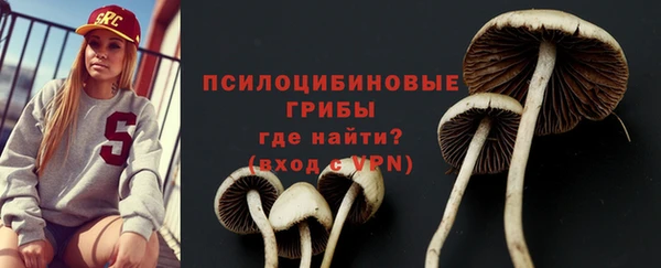 spice Пролетарск