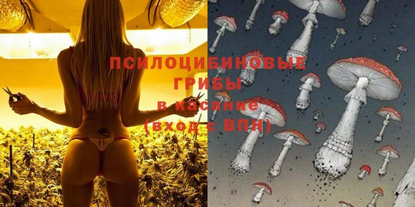 spice Пролетарск