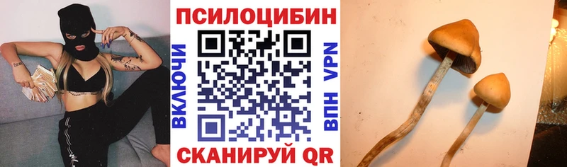 kraken вход  Сосногорск  Галлюциногенные грибы Magic Shrooms 